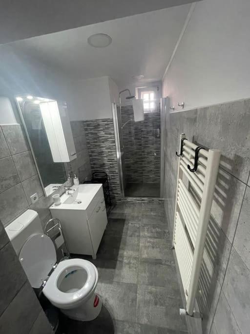 Lady M Apartment Segesvár Kültér fotó